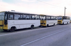 Foto: Mirko Bojić Šide
