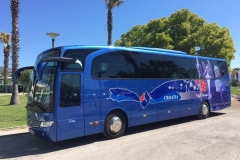 Mercedes Travego (49 + 1 + 1)